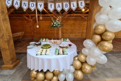 0a8e6f3f-d52d-4b83-9e7f-93d3a1256224